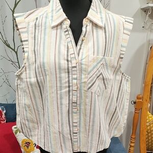 Democracy Multicolor Striped Sleeveless Button-Down Shirt